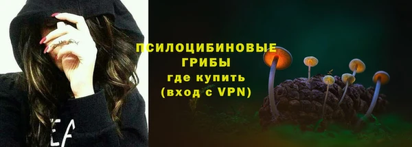 бошки Магас
